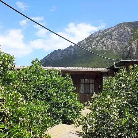 Orange Hotel