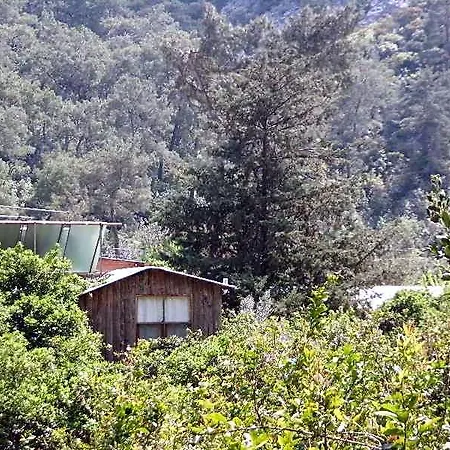 Hotel Orange *